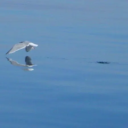Duenenblick Doppelzimmer Bernstein Hotel Timmendorfer Strand