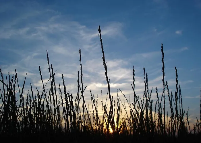 Duenenblick Doppelzimmer Bernstein * Timmendorfer Strand