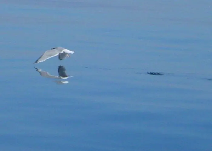 Duenenblick Doppelzimmer Bernstein Hotell Timmendorfer Strand