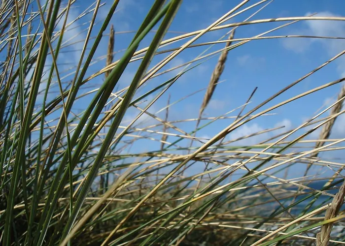 Duenenblick Doppelzimmer Bernstein *